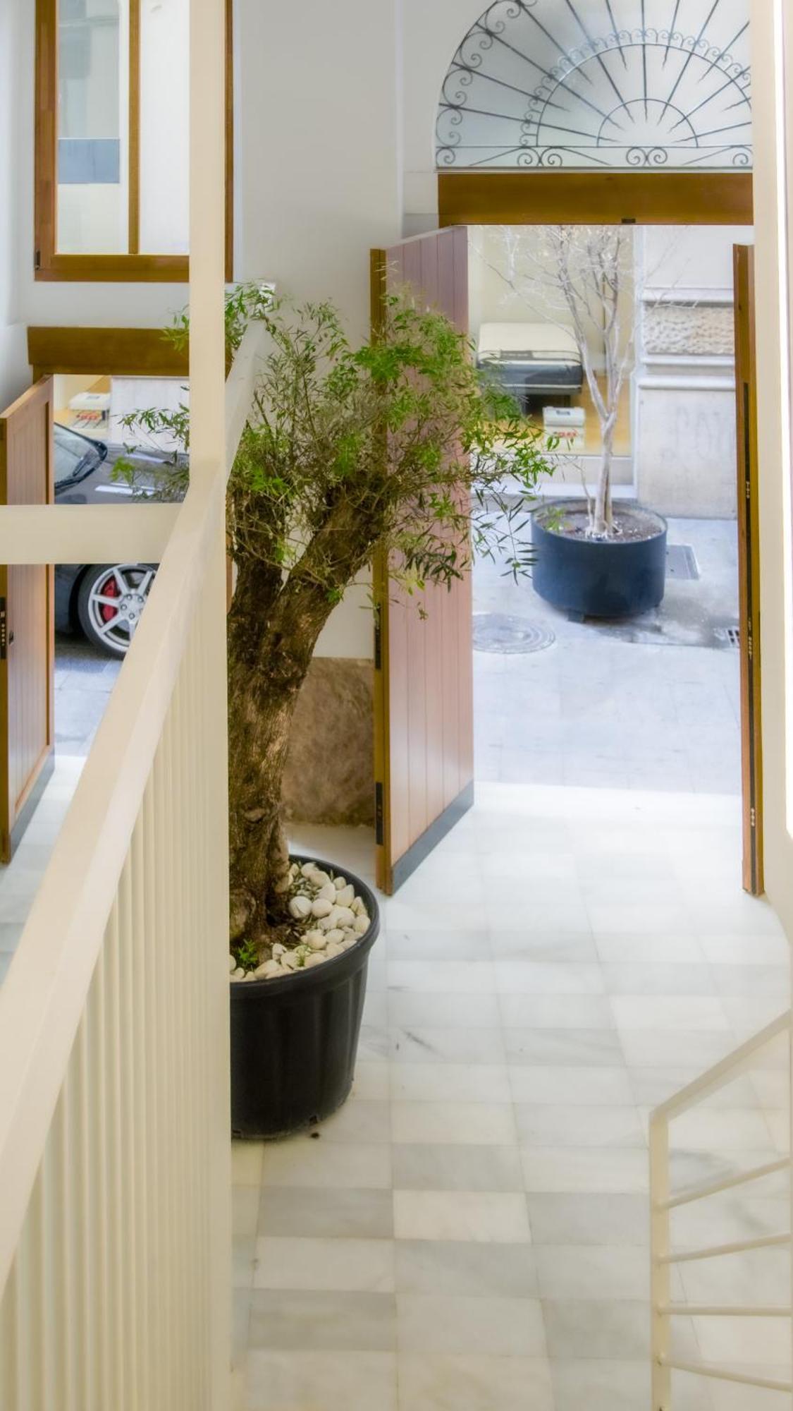 Catalina Suites Apartments Downtown Valencia Luaran gambar