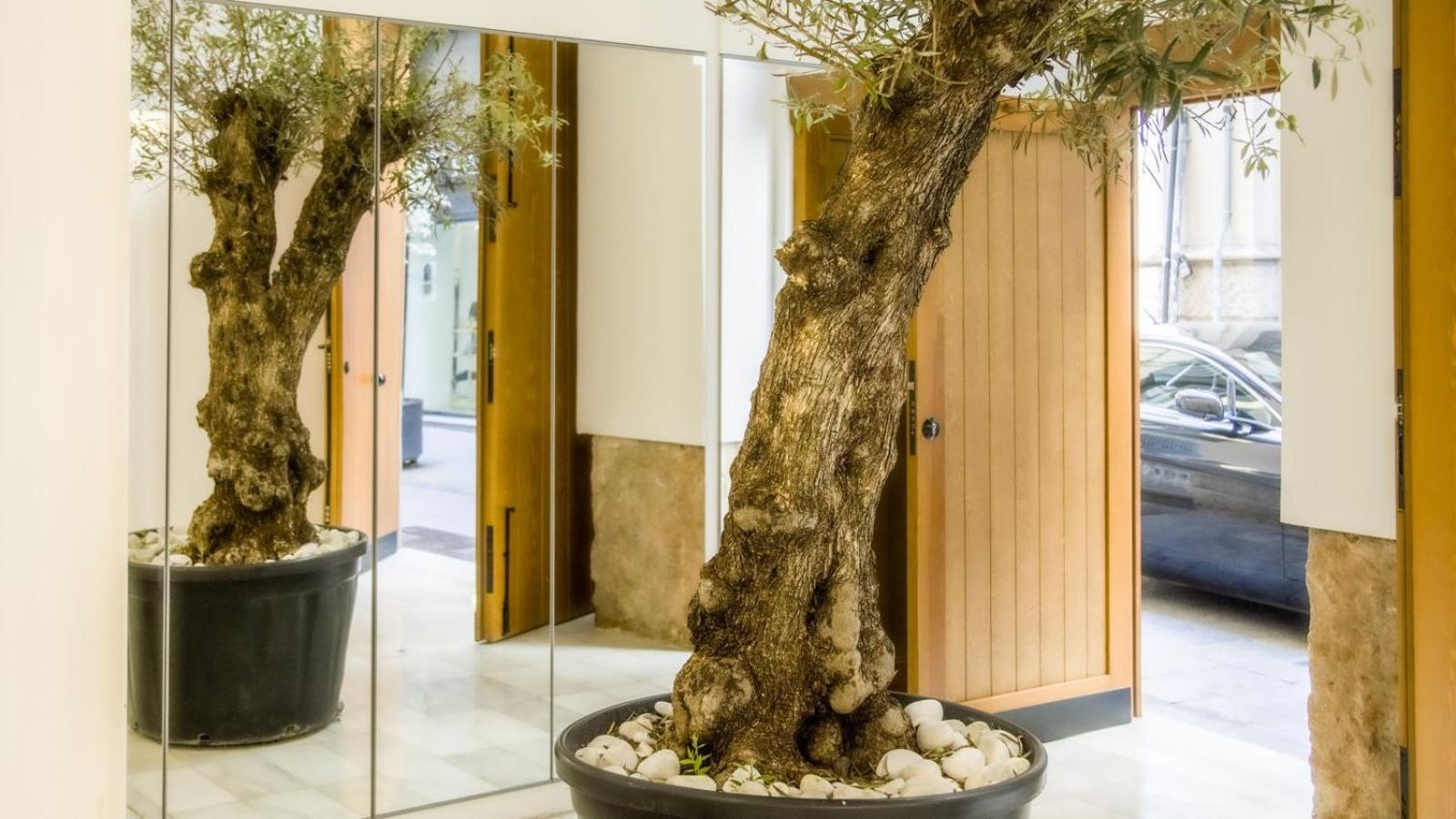 Catalina Suites Apartments Downtown Valencia Luaran gambar